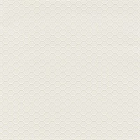 Hexagon Grid Pegasus