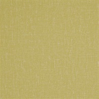 Hollis Basil Wall Protection