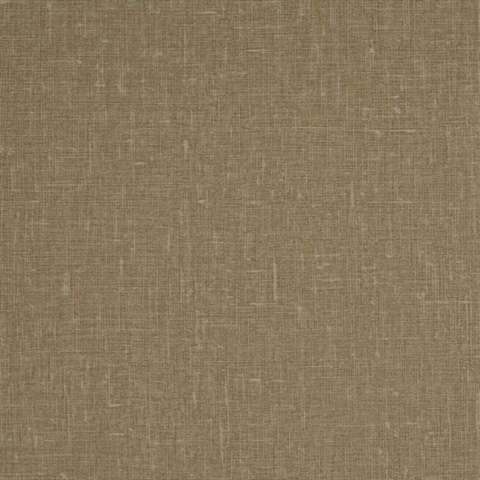 Hollis Burnt Sugar Wall Protection