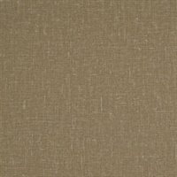 Hollis Burnt Sugar Wall Protection