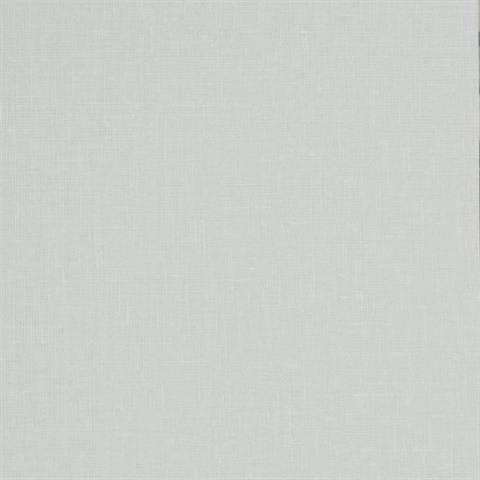 Hollis Duck Egg Wall Protection