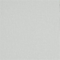 Hollis Duck Egg Wall Protection