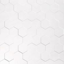 Honeycomb Dimension Wall Paintable