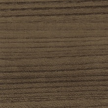 Horizontal Grain Wood Elm Straight/Flat Grain 2
