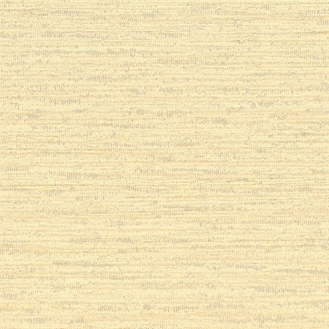 Horizontal Line Texture