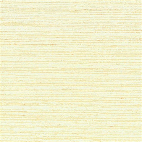 Horizontal Line Texture