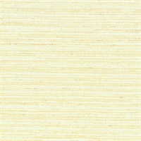 Horizontal Line Texture