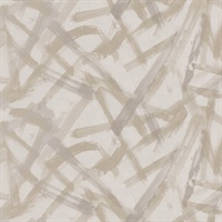 Hot Streak Nickel & Dime Shine