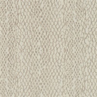 Ilili Metallic Snake Skin Belinda