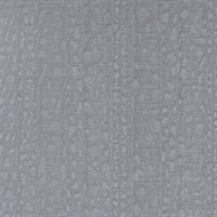 Illusive Butterfly Wing