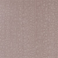 Illusive Orchid Mantis