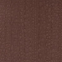 Illusive Scarlet Macaw