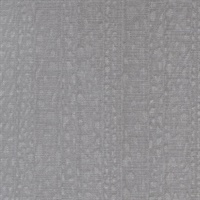 Illusive Silver Moth