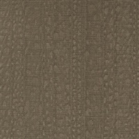 Illusive Tree Lizard