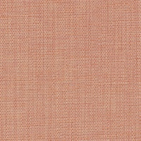 In a Flash Rose Petal