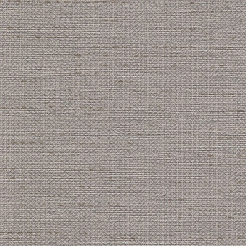 In the Loop Captivated