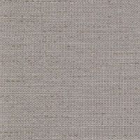 In the Loop Captivated