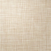In Tune Champagne Crosshatch Linen