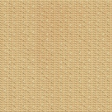 Infinite Dimension Wall Maple