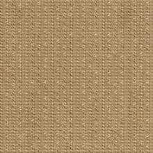 Infinite Dimension Wall Stained Ash