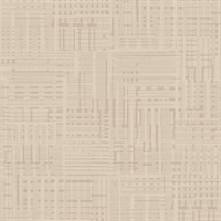 Insight Grid Stonehaven