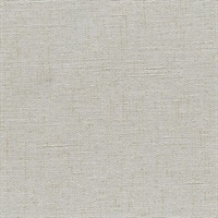 Insight Illuminating