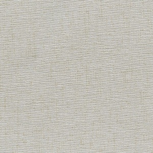 Insight School Collection Illuminating