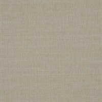 Intrepid Creme Brulee Wall Protection