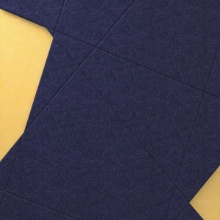 Intrepid Sunlight+Admiral