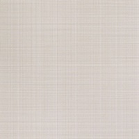 Invisicap Vanilla Tint