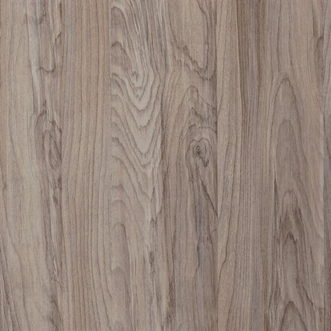 Inyo Beech Wall Protection