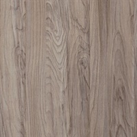 Inyo Beech Wall Protection