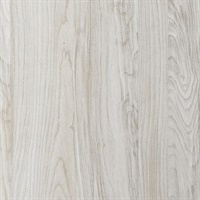 Inyo Bleached Wall Protection