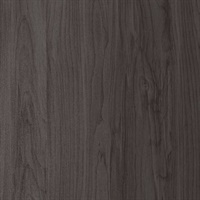 Inyo Ebony Wall Protection