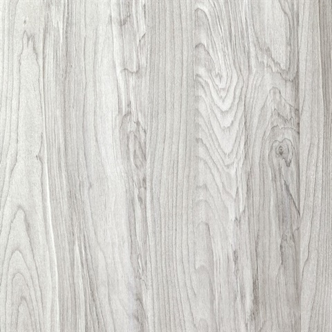 Inyo Silverbirch Wall Protection