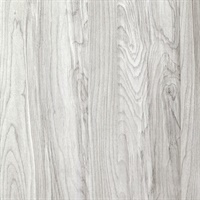 Inyo Silverbirch Wall Protection