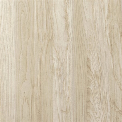 Inyo Spruce Wall Protection