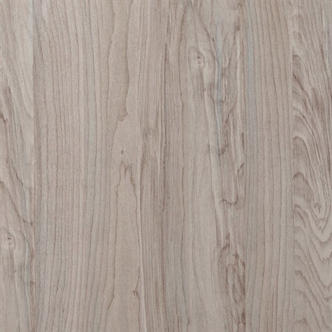 Inyo Sycamore Wall Protection