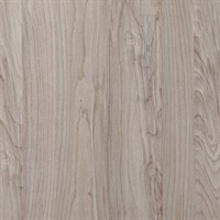 Inyo Sycamore Wall Protection