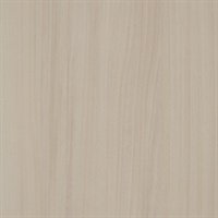 Ironwood Driftwood Wall Protection