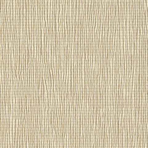 It's Electric Conga Line