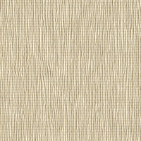 It's Electric Conga Line