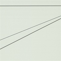 Jet Setter Through The Clouds