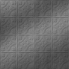 Kaleidoscope Ceiling Brushed Stainless