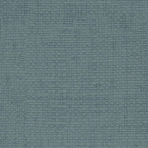 Katari Morning Glory