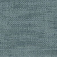 Katari Morning Glory