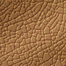 Kenya Dimension Wall New Penny