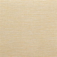 Keren Maize Wall Protection