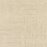 Kilbourne Pearl Trax