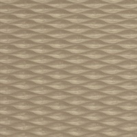 Kimball Lavender Fields